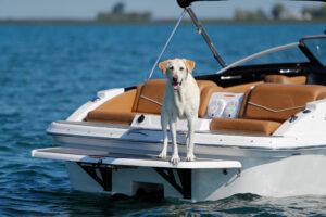 What to Know About Boat & Watercraft Insurance