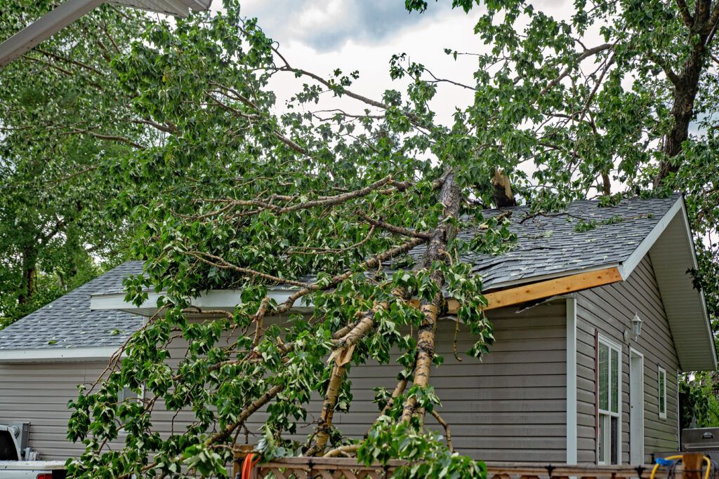 Is Your Home Insurance Ready for Storm Season